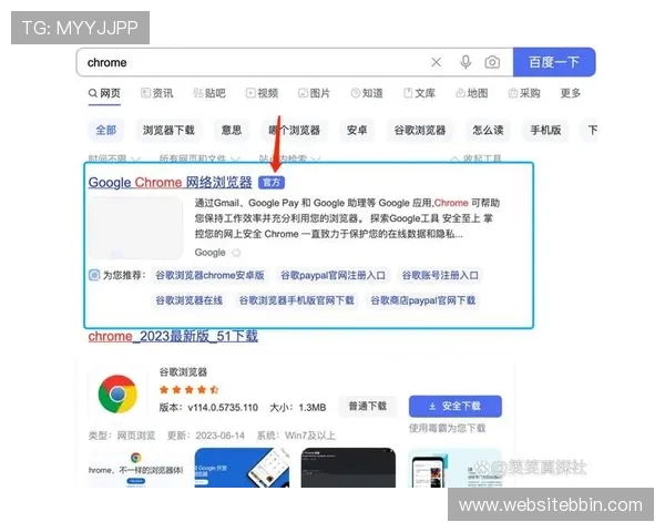 bbin浏览器下载官方渠道，确保软件安全无病毒的详细步骤
