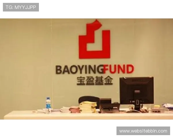 宝盈基金官网投资组合分析与业绩表现，助您科学配置资产